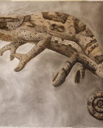 Chameleon Study