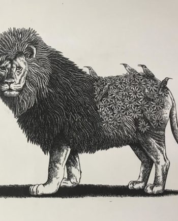 Cape Lion and Friends