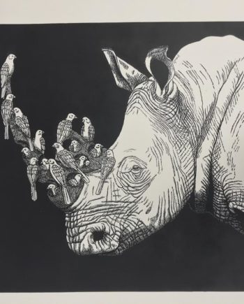 White Rhino and Friends
