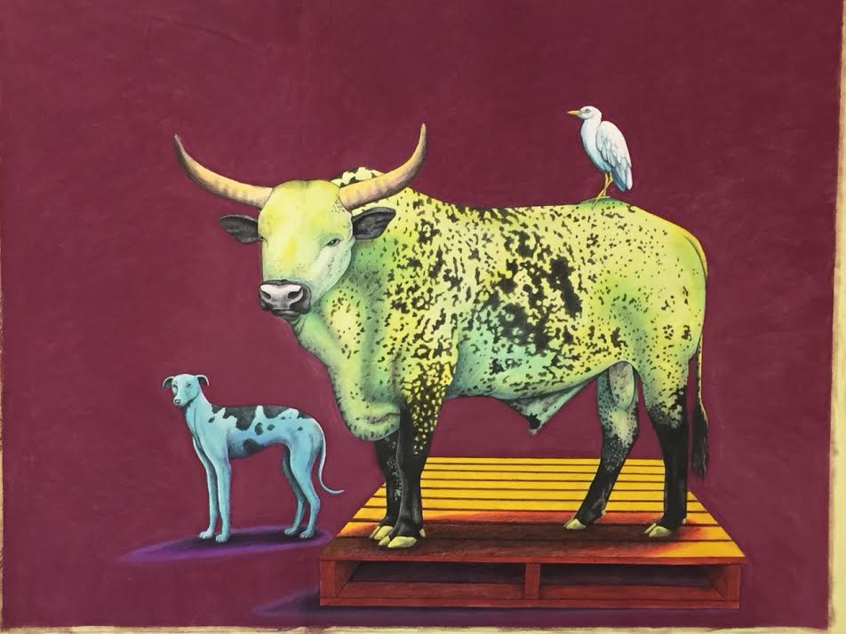 Blue Dog, Green Cow
