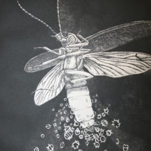john moore artist