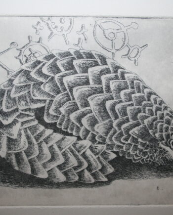 Shy Five : Pangolin