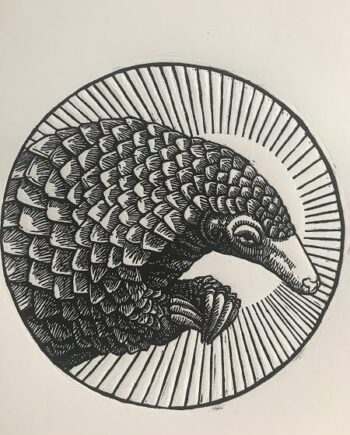 Pangolin Study