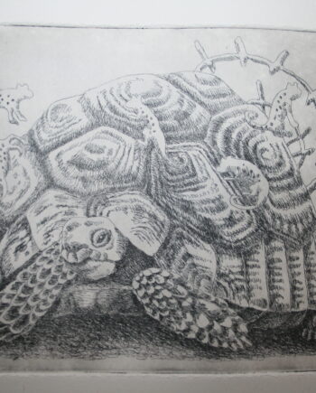 Little 5 Series: Leopard Tortoise
