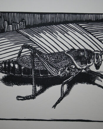 It's All About Perspective : Locust