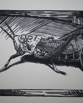 It's All About Perspective : Locust 2
