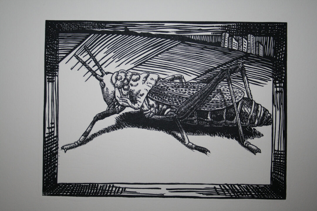 It's All About Perspective : Locust 2