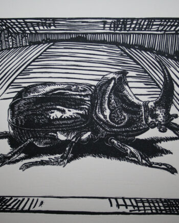 It's All About Perspective : Rhino Beetle