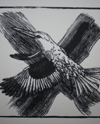 Noughts and Crosses : Kingfisher