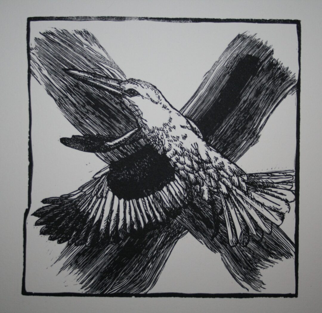 Noughts and Crosses : Kingfisher