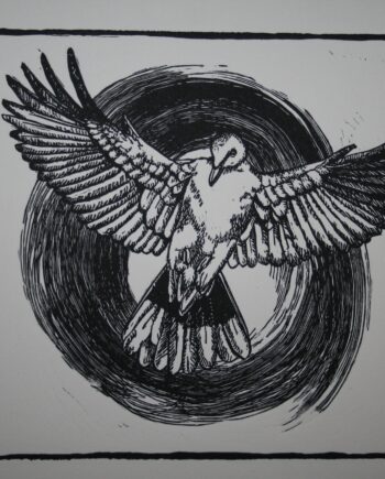 Noughts and Crosses : Dove