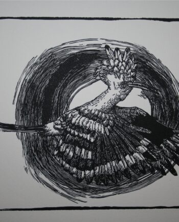 Noughts and Crosses : Hoopoe