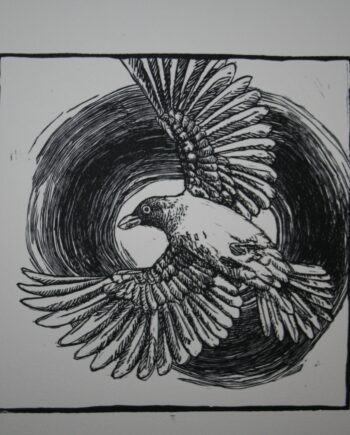 Noughts and Crosses : Ox Pecker