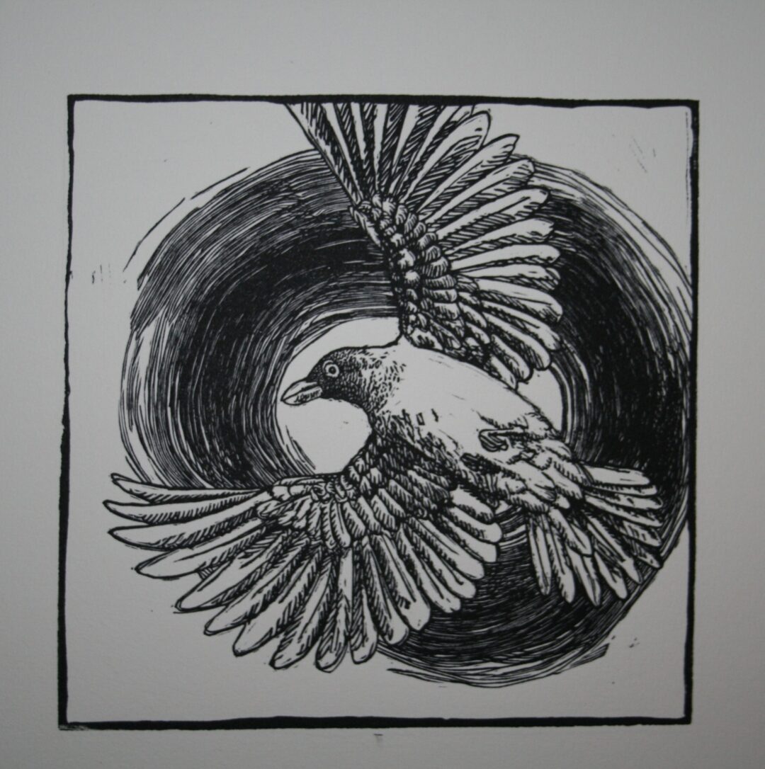 Noughts and Crosses : Ox Pecker