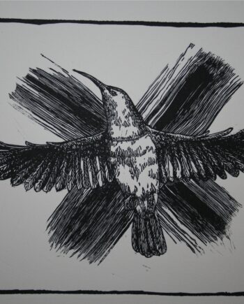 Noughts and Crosses : Sunbird