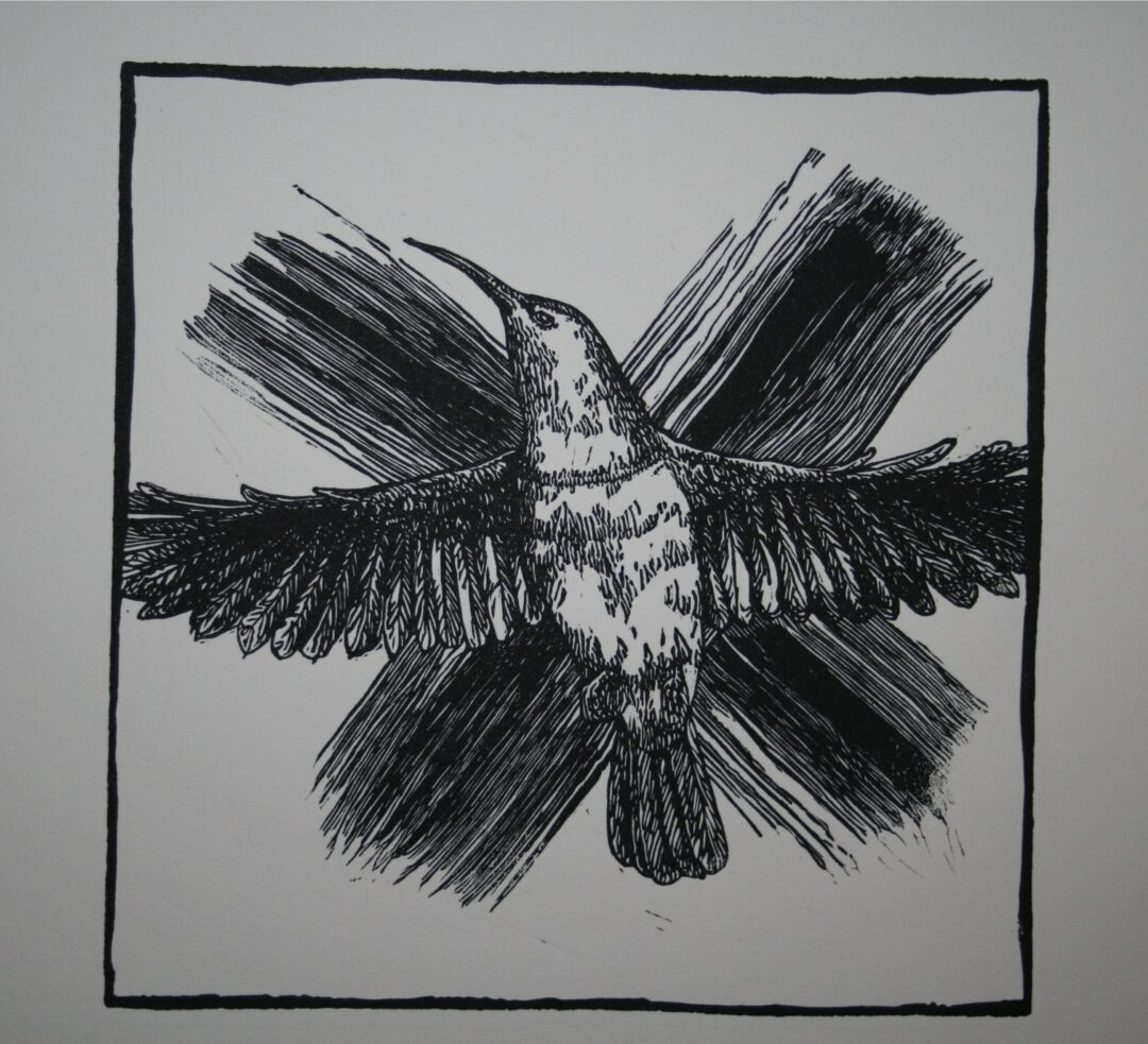 Noughts and Crosses : Sunbird
