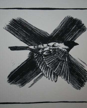 Noughts and Crosses : Waxbill