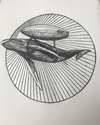 Whale Study