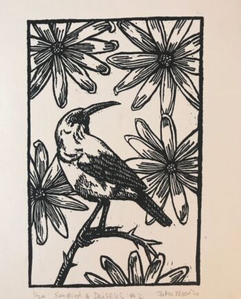 Sunbirds and Daisies No. 2