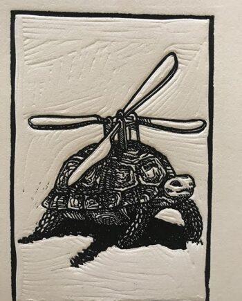 Animal and Machine : Tortoise | Lift Off