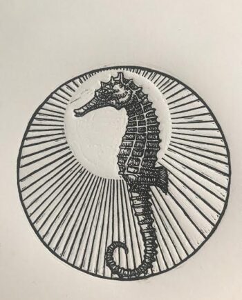 Knysna Seahorse Study (Framed)