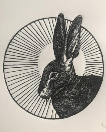 Riverine Rabbit Study