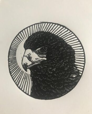 Bateleur Study