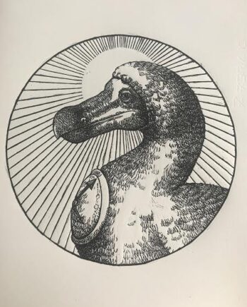 Dodo Study