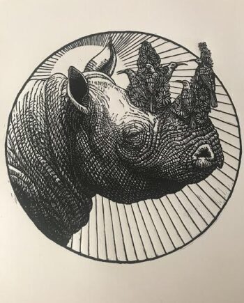 Rhino Study