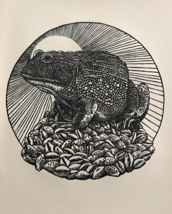 Abundance and Protection