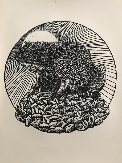 Abundance and Protection