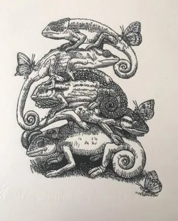 Dwarf Chameleon And Friends 1