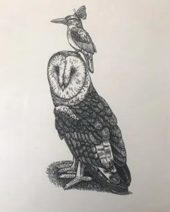 Grass Owl And Friends