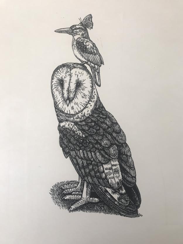 Grass Owl And Friends