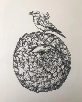 Pangolin And Friends