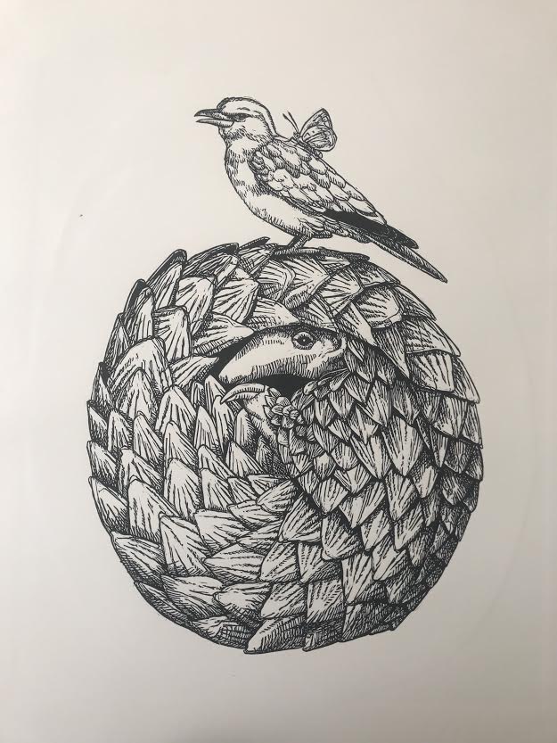 Pangolin And Friends