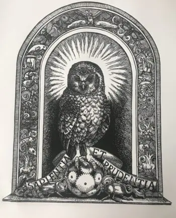 Wisdom and Insight