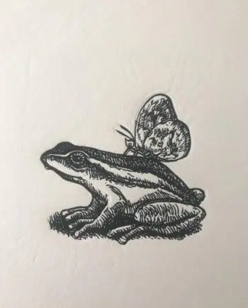 Pickersgills Reed Frog And Friend
