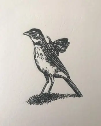 Red Lark And Friend