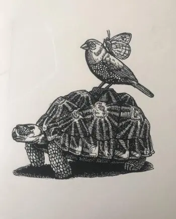 Geometric Tortoise And Friends