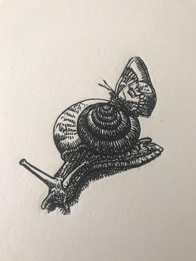 Tailwagging Snail And Friend