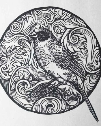 Scrollwork Series : Black-Cheeked Waxbill