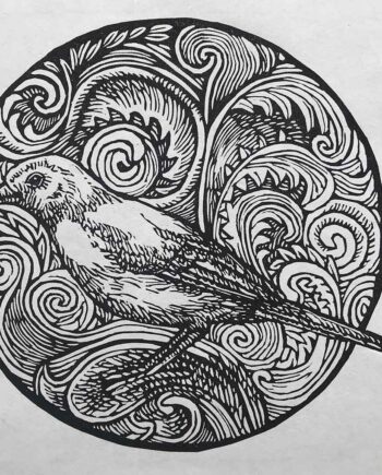 Scrollwork Series : Blue Waxbill