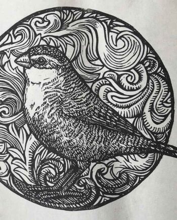Scrollwork Series : Common Waxbill