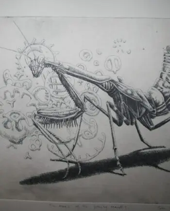 The Magic of the Mantis