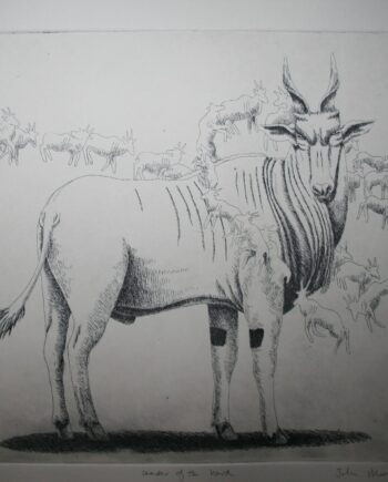 Leading the Herd