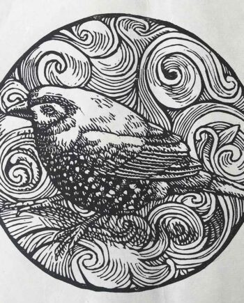 Scrollwork Series : Green Twinspot