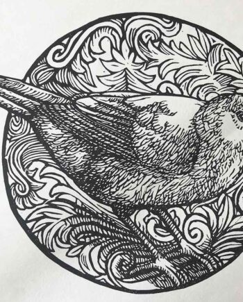 Scrollwork Series : Grey Waxbill