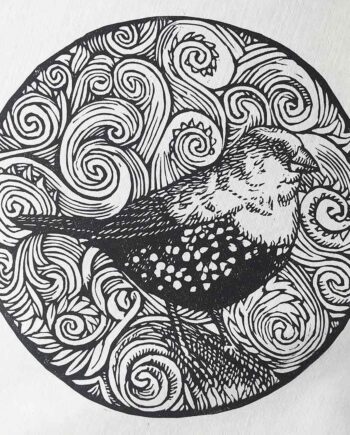 Scrollwork Series : Pink-Throated Twinspot
