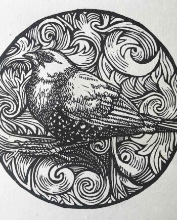 Scrollwork Series : Pink-Throated Twinspot